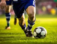 外汇交易可,选择的货币,种类有哪些,球盟会官方网站入口,球盟会体育官网,球盟会体育登录入口,球盟会官方登录平台