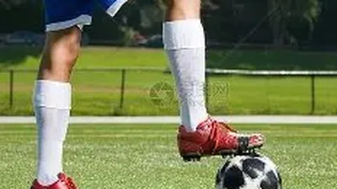 周末盛宴：金黄与赤红交织盛宴