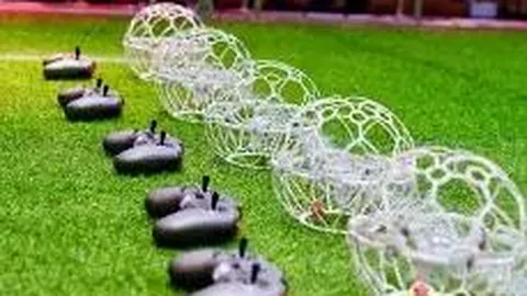 球盟会体育官网 资讯 104257 bfa