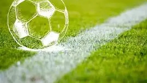 球盟会体育官网 产品 104319 omo