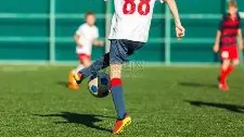 球盟会体育官网 产品 104431 ys8