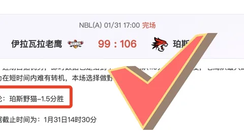 德国队招募穆西亚拉的真正原因曝光